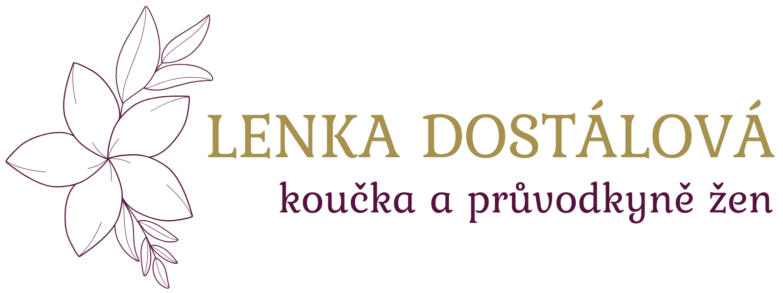 Nekonečná cesta - Lenka Dostálová